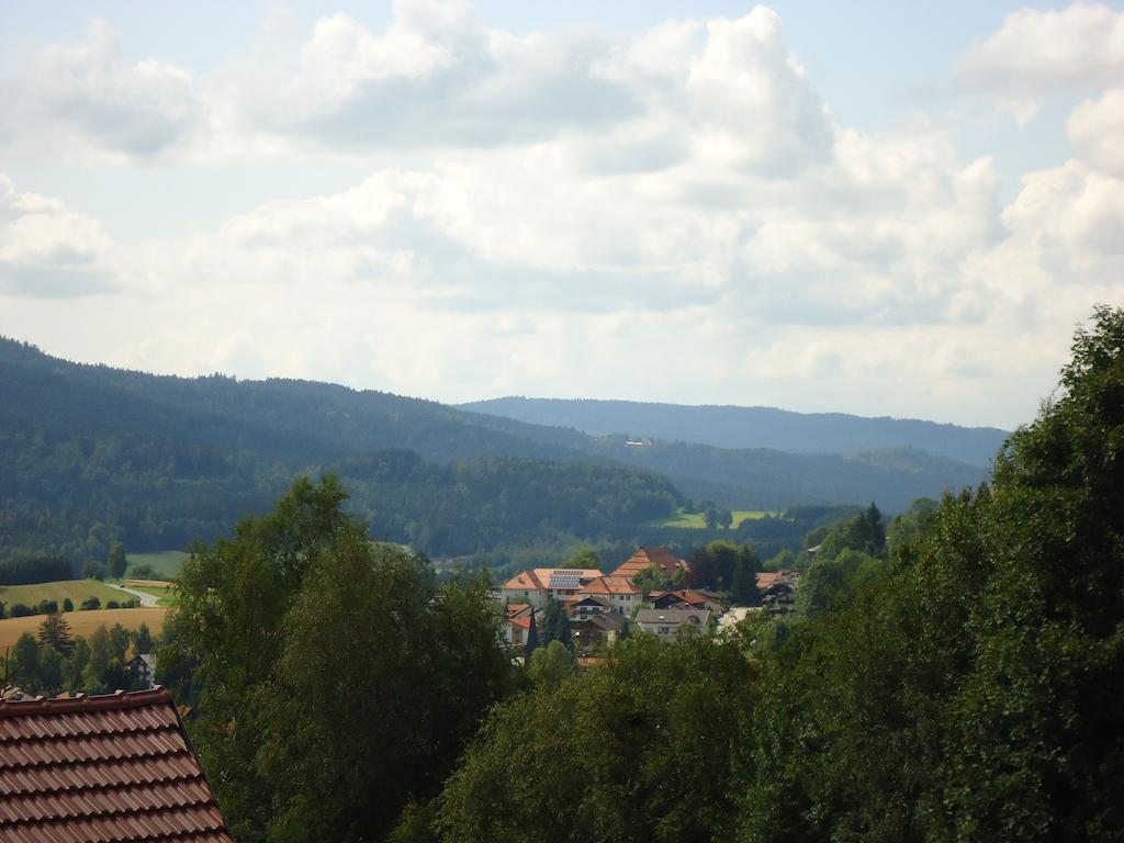 Ferienwohnung Bodenmais Am Silberberg Exterior foto